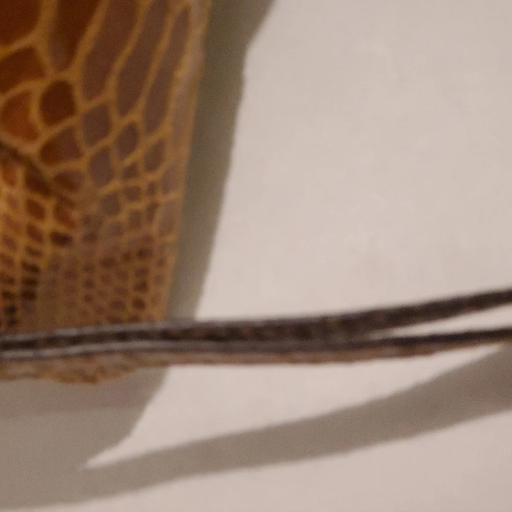 Brown Wristlet